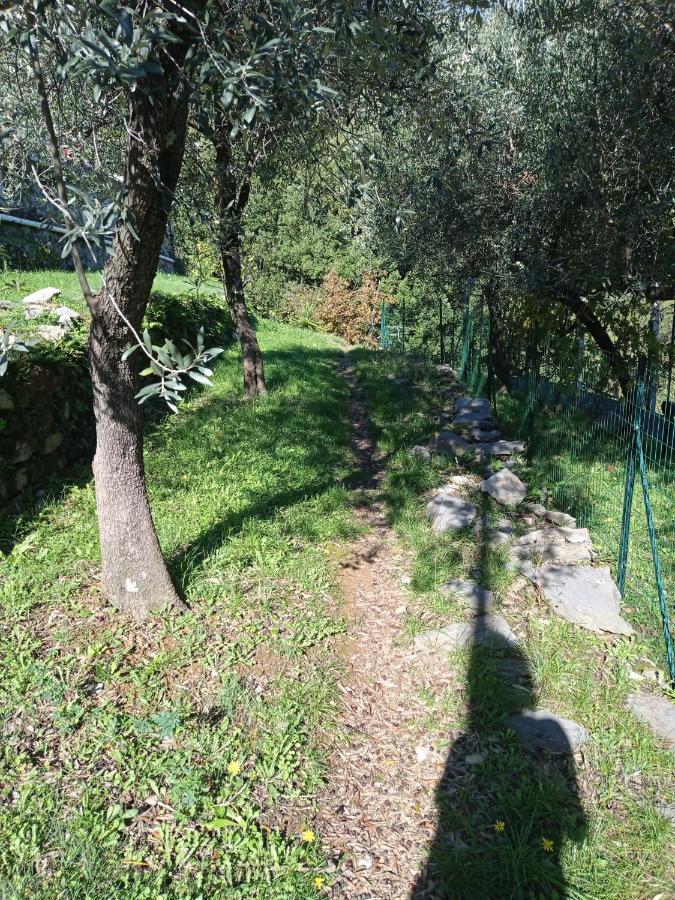 Le Vigne Di Lenf Porto Venere Exterior photo